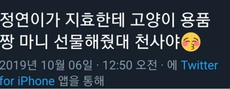 파도파도 미담만 나오는 트와이스 정연