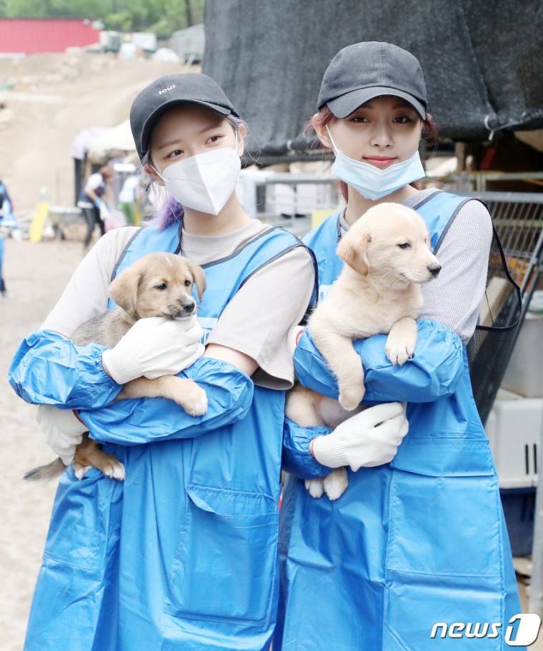 트와이스 정연,쯔위 유기동물 보호소 봉사활동