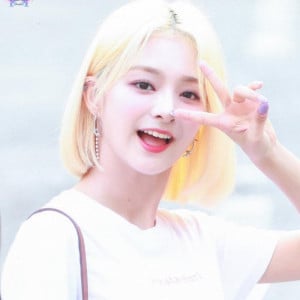 아이콘
