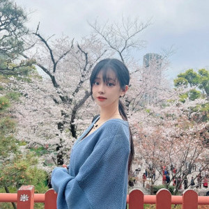 아이콘