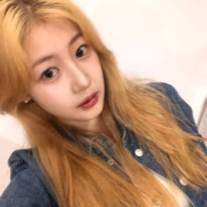 아이콘