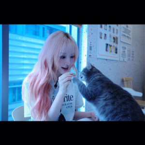 아이콘