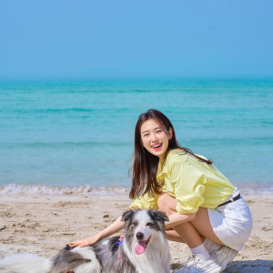 아이콘