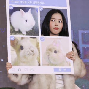 아이콘