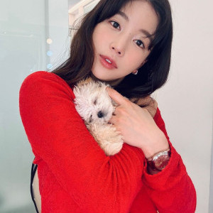 아이콘