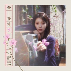 아이콘