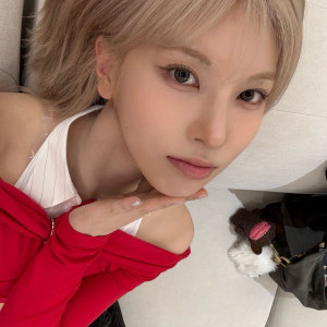 아이콘