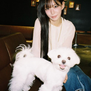 아이콘