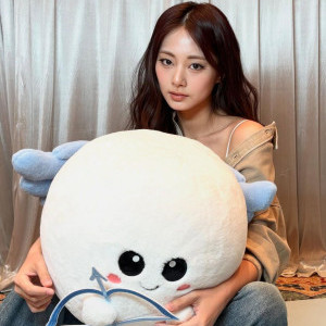아이콘