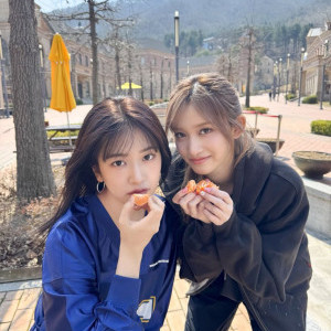 아이콘