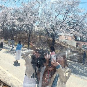 아이콘
