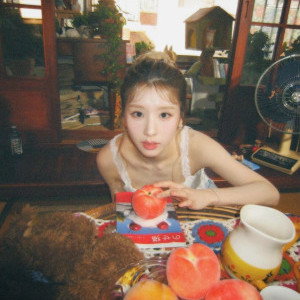 아이콘