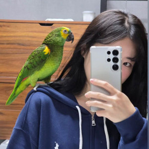 아이콘