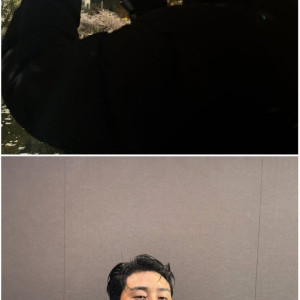 아이콘