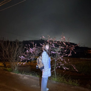 아이콘