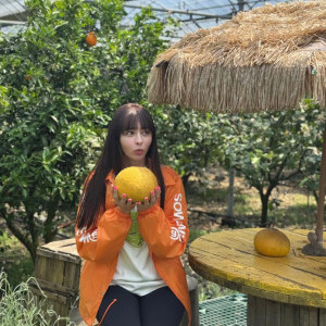 아이콘
