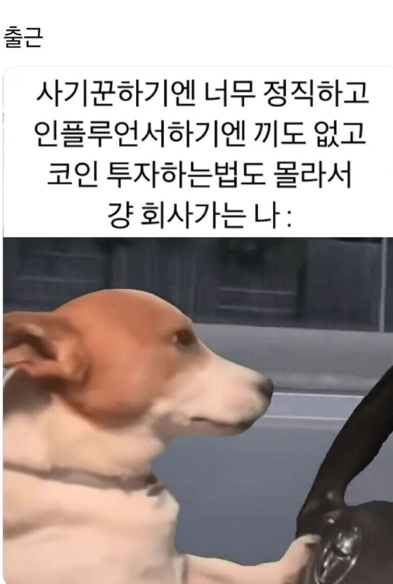 0fc00fea3072ac9ddcde5d19543591a0_1636282700.jpeg