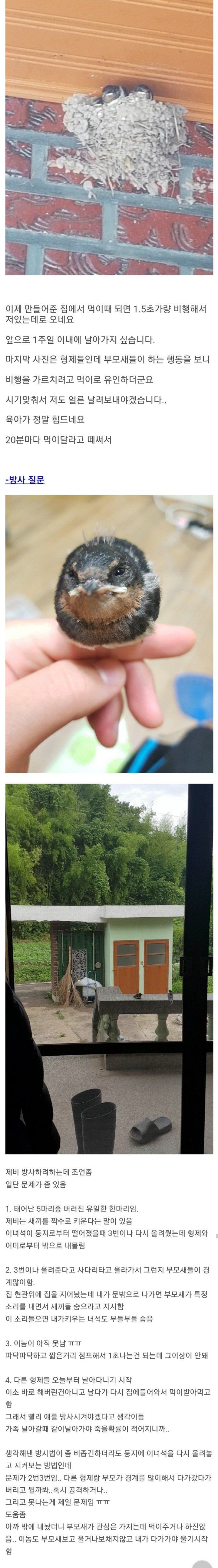 4de710915062df60793921daa016c510_1068161036.jpeg