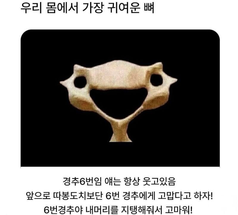 8690e09d74d44281f14df1b49f288756_1751010557.jpeg