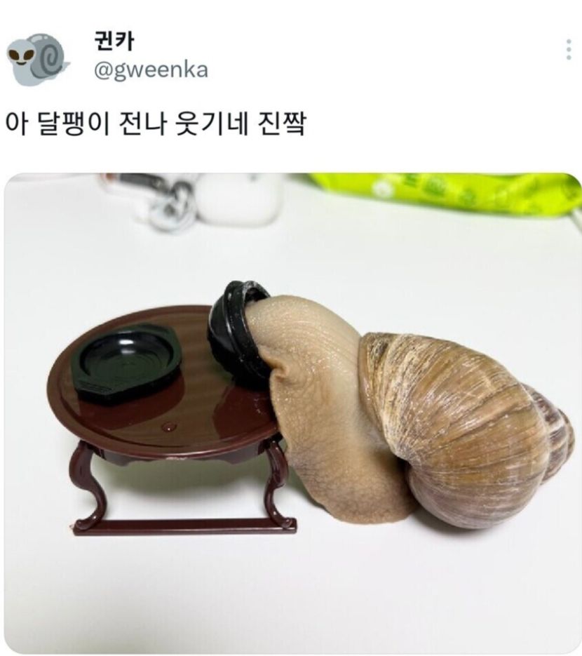 a1d0395f8a2462faafefd0651b2a9bab_883265351.jpeg