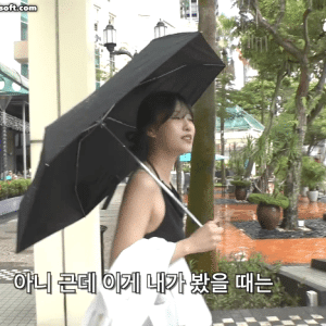 아이콘