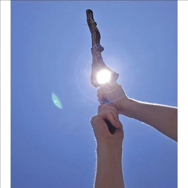 6f9499ef8045d964ad1c5c9b281d203f_1101847773.png