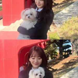 게시물 타입 아이콘