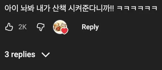 보더콜리의 활동량을 감당 못하면 생기는 일
