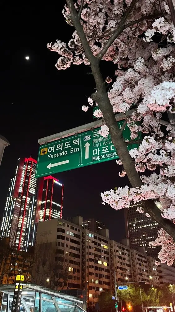 [스압] 외국인들이 '한국 감성'을 느낀다는 감성 샷들