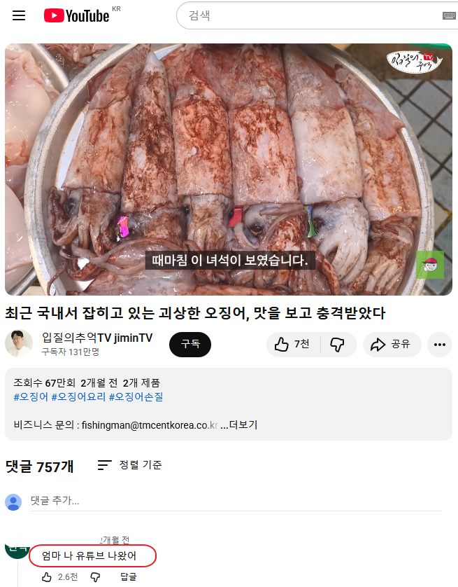 자기 객관화가 잘 된 유튜브 댓글.jpg