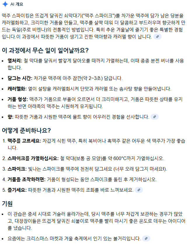 600도로 달군 쇠막대를 넣어 마시는 독일식 맥주.