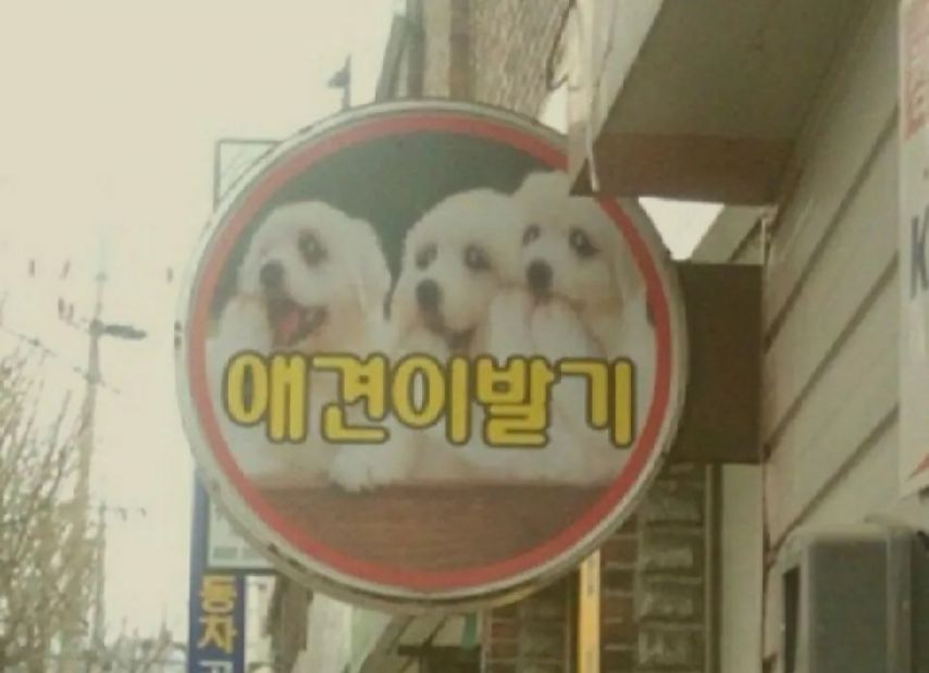 띄어쓰기 대참사 ㅋㅋㅋㅋㅋㅋㅋㅋㅋㅋ