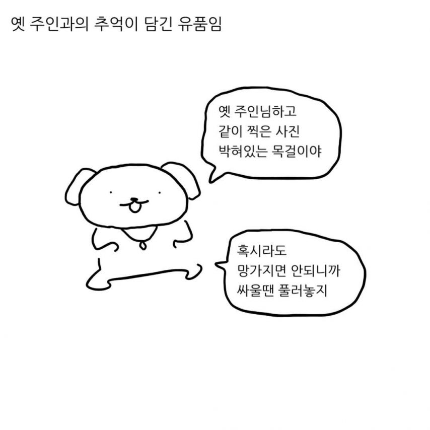 급양만와] 강아지랑 고양이는 사실 사이가 좋대.manhwa