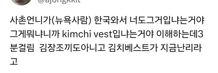 김장조끼 폭풍유행.jpg