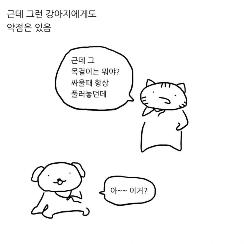 급양만와] 강아지랑 고양이는 사실 사이가 좋대.manhwa