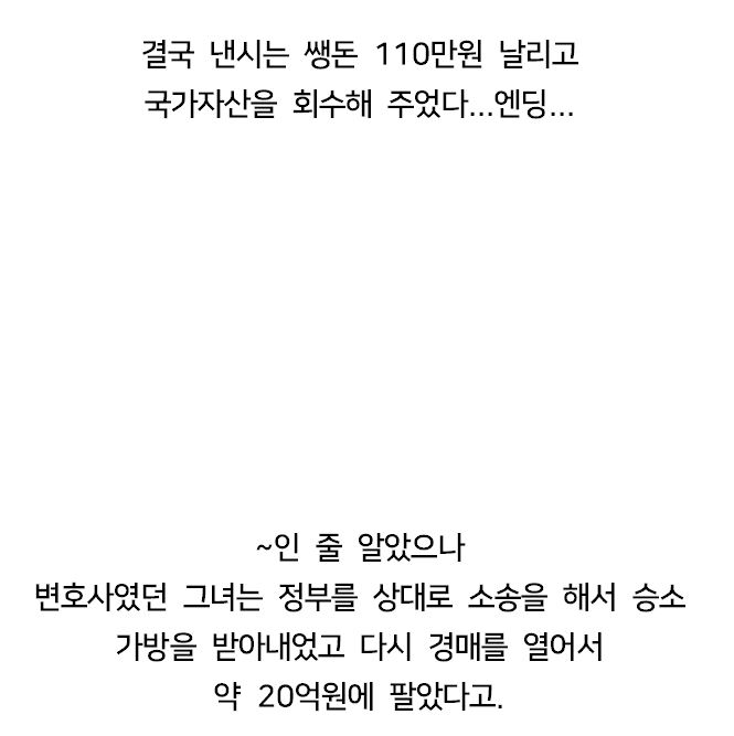 인터넷 경매에서 110만원 주고 산 가방의 정체.jpg