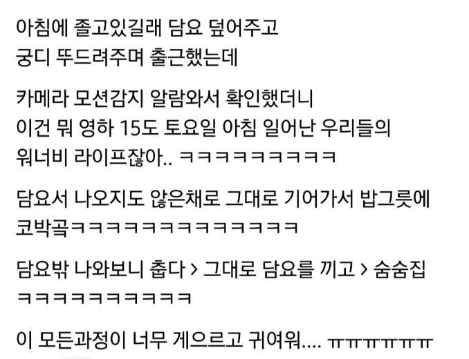 스레드] 담요 덮은채 사료먹는 고영희.jpg