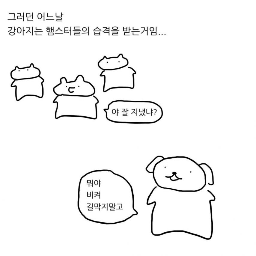 급양만와] 강아지랑 고양이는 사실 사이가 좋대.manhwa