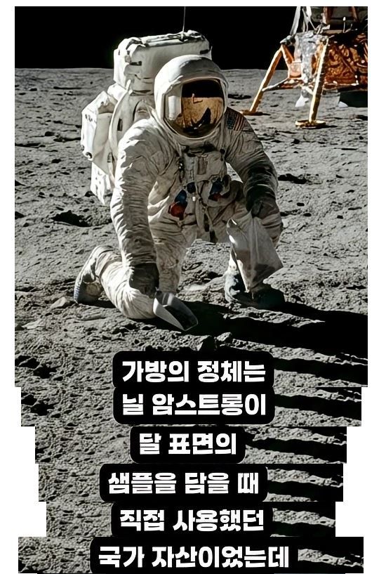 인터넷 경매에서 110만원 주고 산 가방의 정체.jpg