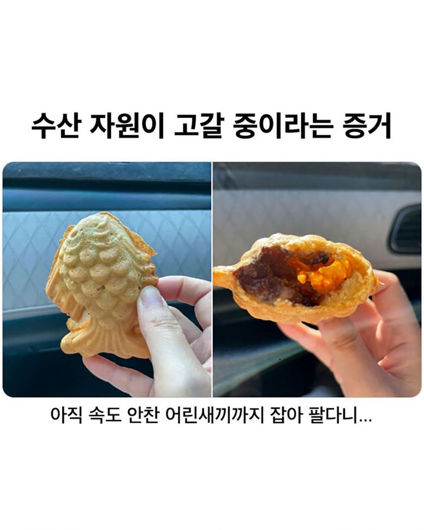 수산 자원이 고갈 중이라는 증거.jpg