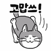 내일 코스피 더 오르는 이유