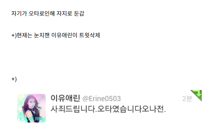 나인뮤지스 이유애린 오타사건