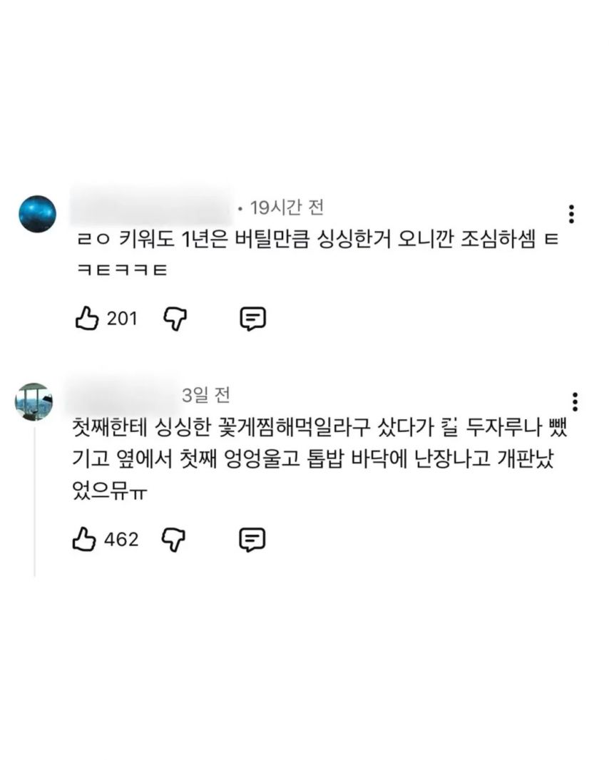 피해자들의 진술이 너무 똑같아서 논란된 사건