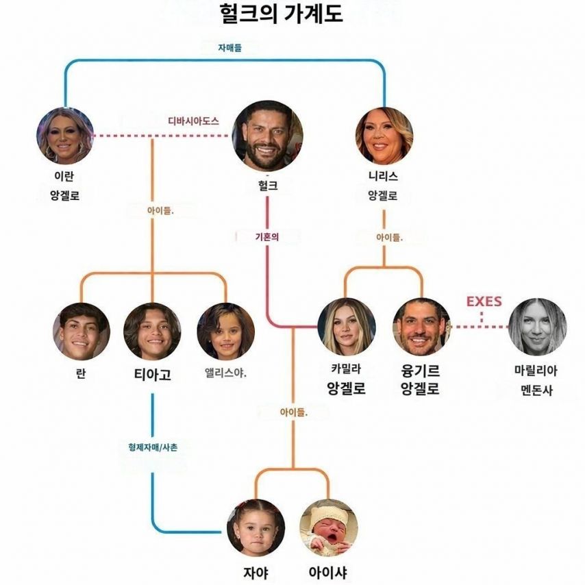 브라질의 개족보