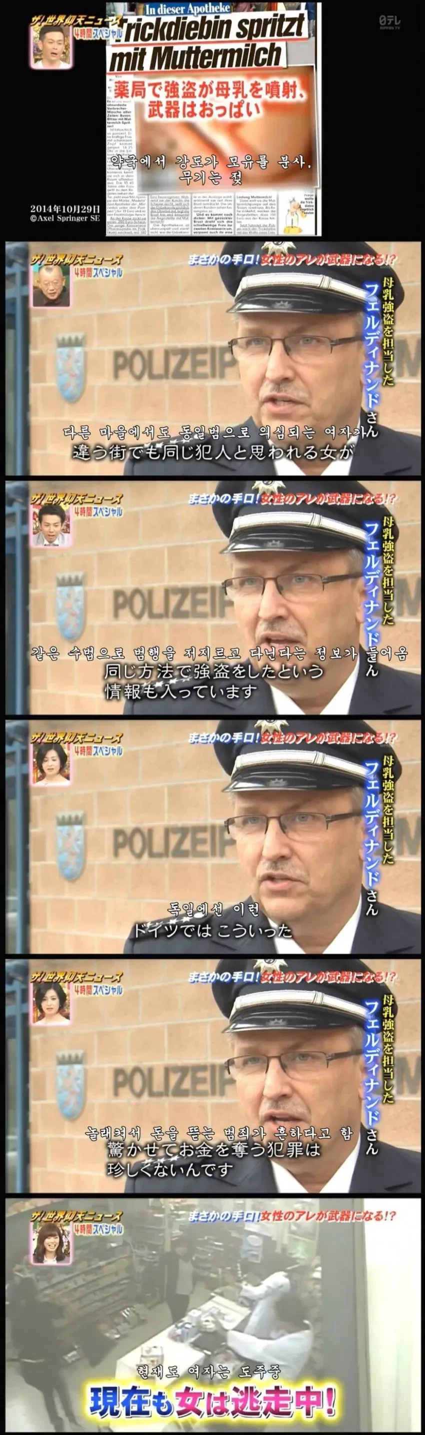 독일 모유 도둑을 재연한 일본 방송