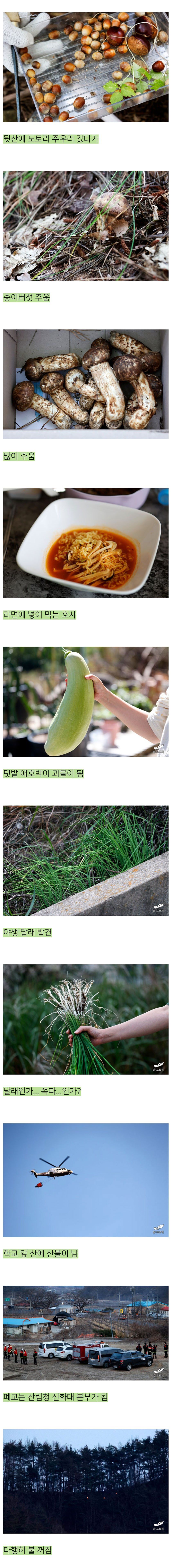 어느 블로거의 낭만 넘치는 폐교 생활