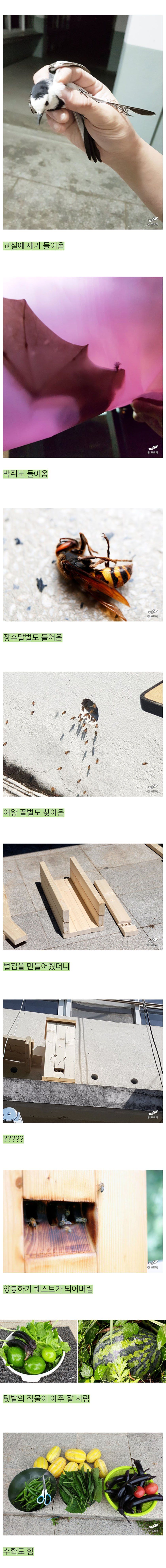 어느 블로거의 낭만 넘치는 폐교 생활