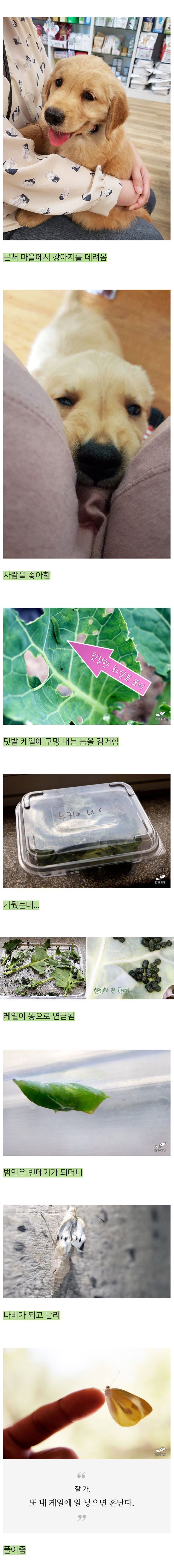 어느 블로거의 낭만 넘치는 폐교 생활