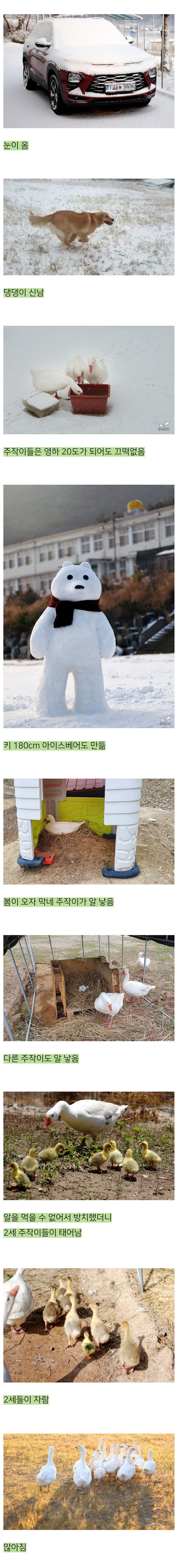 어느 블로거의 낭만 넘치는 폐교 생활