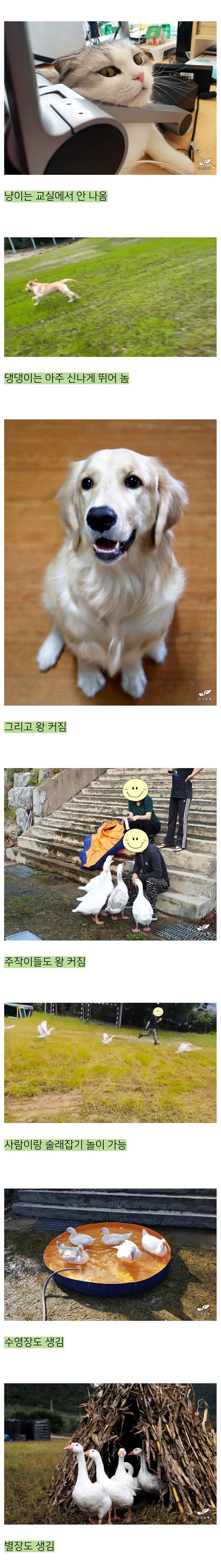 어느 블로거의 낭만 넘치는 폐교 생활